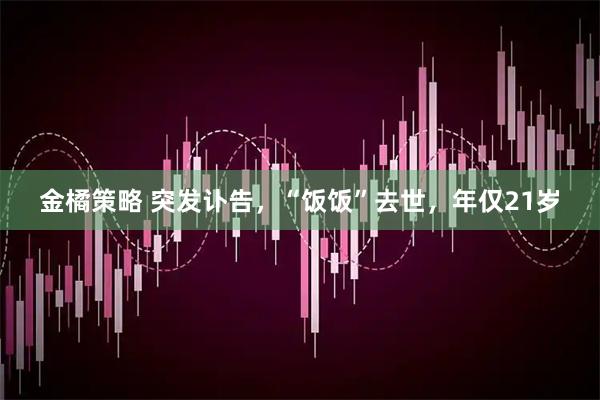 金橘策略 突发讣告，“饭饭”去世，年仅21岁
