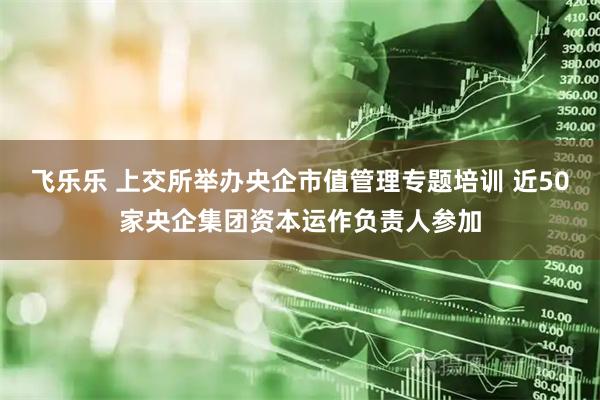 飞乐乐 上交所举办央企市值管理专题培训 近50家央企集团资本运作负责人参加