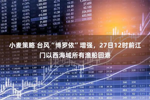小麦策略 台风“博罗依”增强，27日12时前江门以西海域所有渔船回港