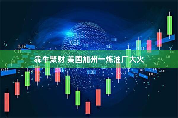 犇牛聚财 美国加州一炼油厂大火