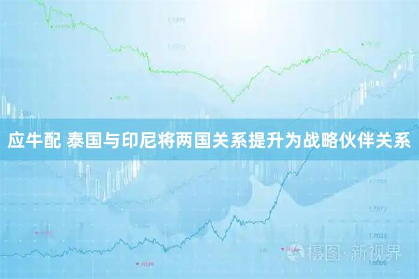 应牛配 泰国与印尼将两国关系提升为战略伙伴关系