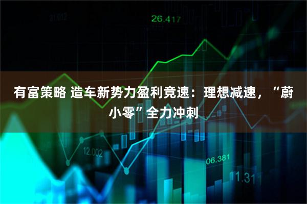 有富策略 造车新势力盈利竞速：理想减速，“蔚小零”全力冲刺