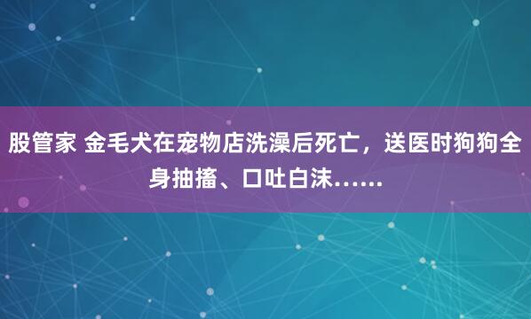 股管家 金毛犬在宠物店洗澡后死亡，送医时狗狗全身抽搐、口吐白沫…...