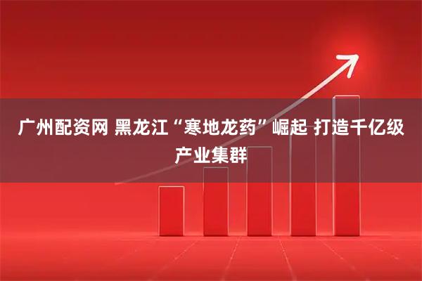广州配资网 黑龙江“寒地龙药”崛起 打造千亿级产业集群
